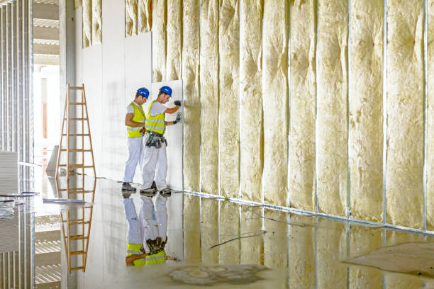 Best Insulation Maintenance and Repair in Montgomery, PA